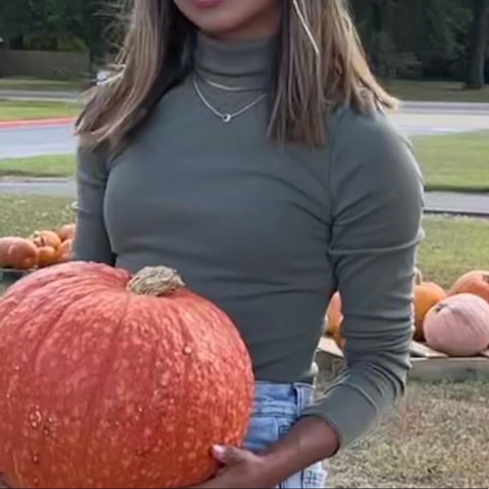 olive green long sleeve turtle neck